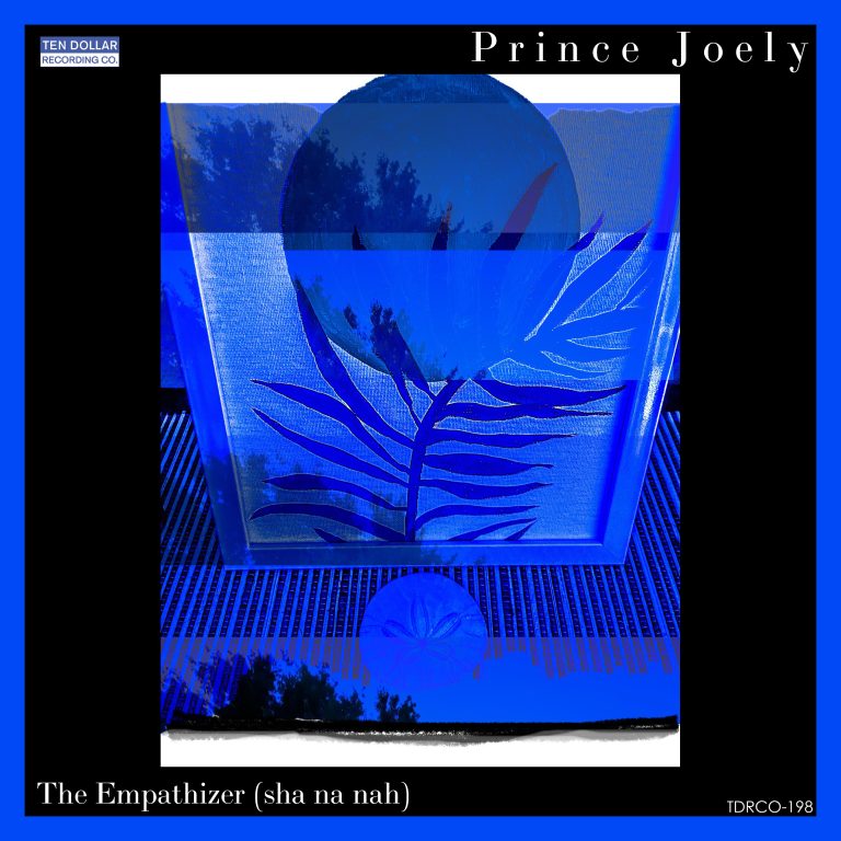 The Empathizer (sha na nah) by Prince Joely