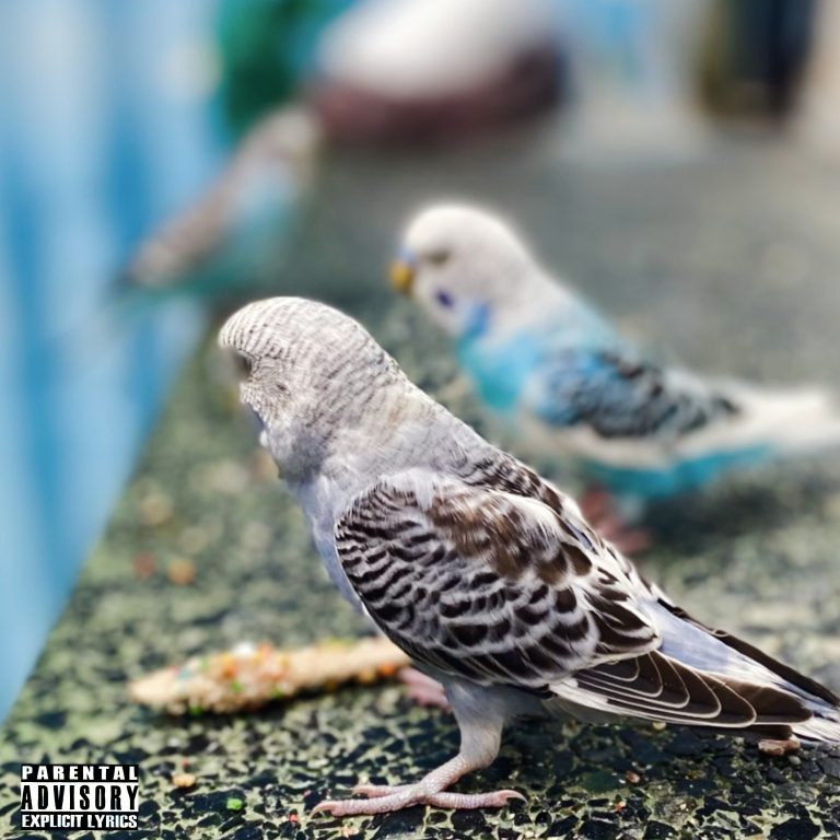 Acceptance by IreQ Savage