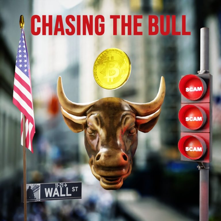 Chasing the Bull by Sam Feinstein