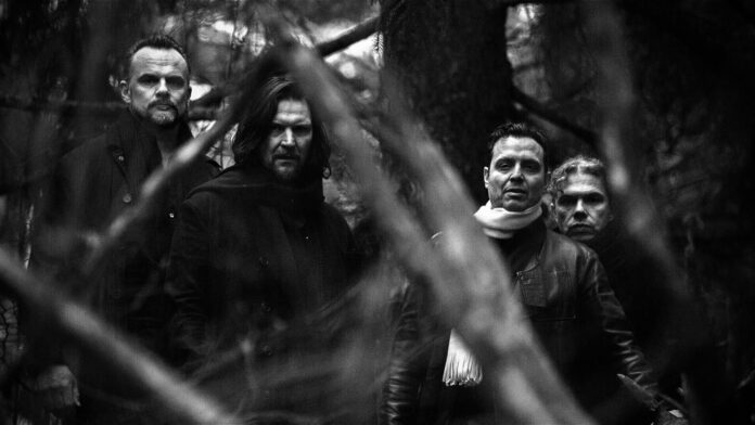 AMONG THE MASSES
