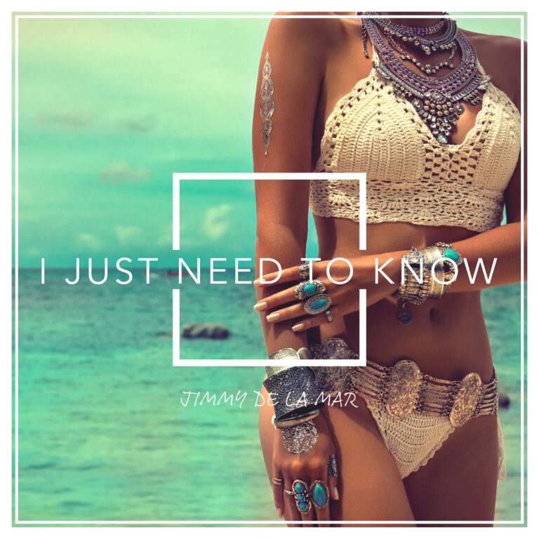 I Just Need to Know by Jimmy de la Mar