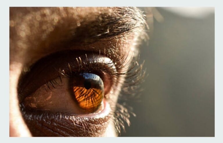 ALL EYEZ by Proklaim