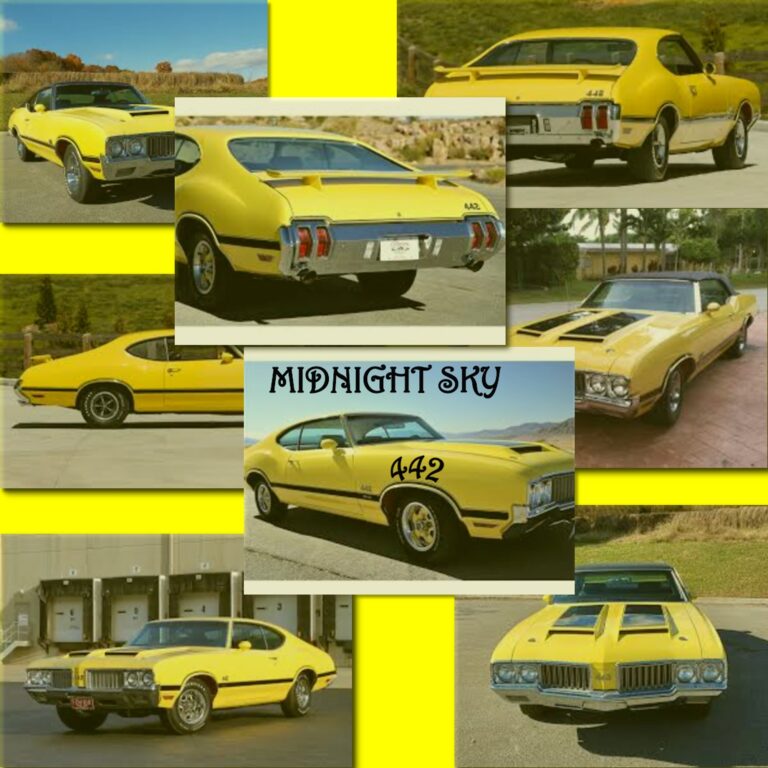 442 by Midnight Sky