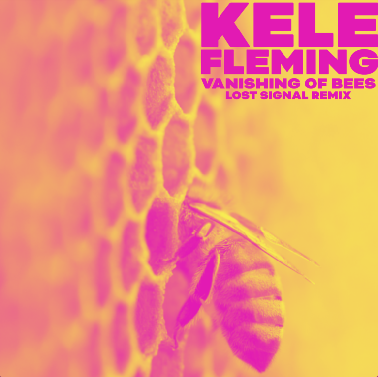 Vanishing of Bees (Lost Signal Remix) by KELE FLEMING