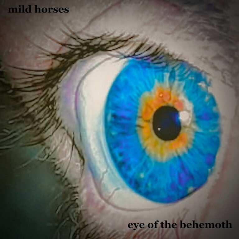 Eye of the behemoth by Mild Horses