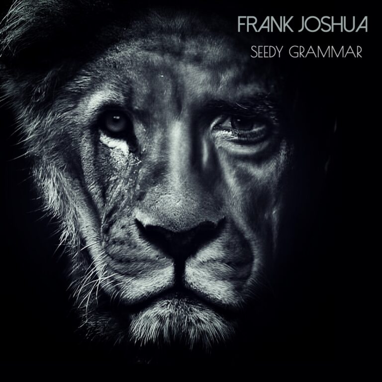 Seedy Grammar by Frank Joshua