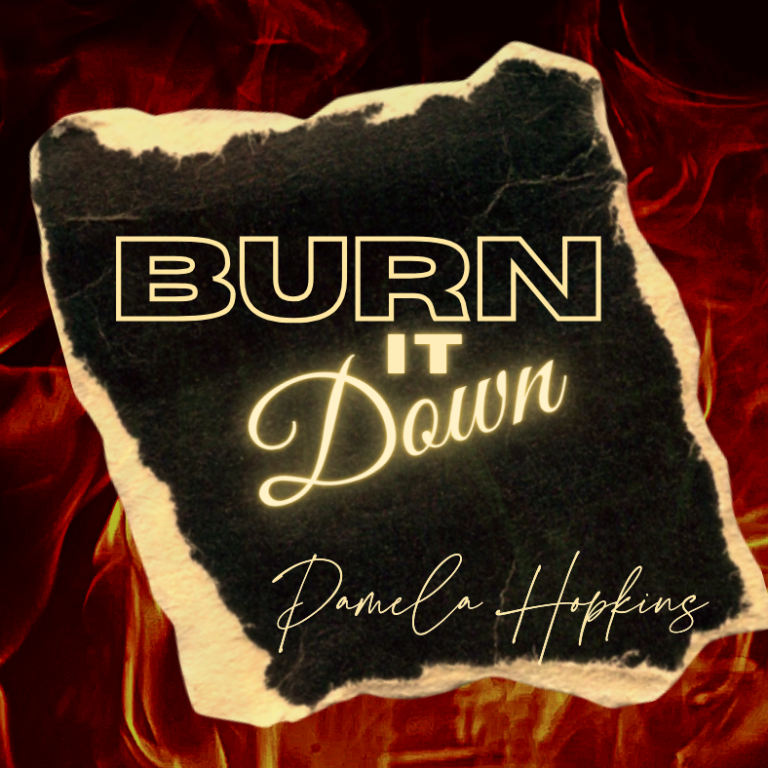 Burn It Down by Pamela Hopkins