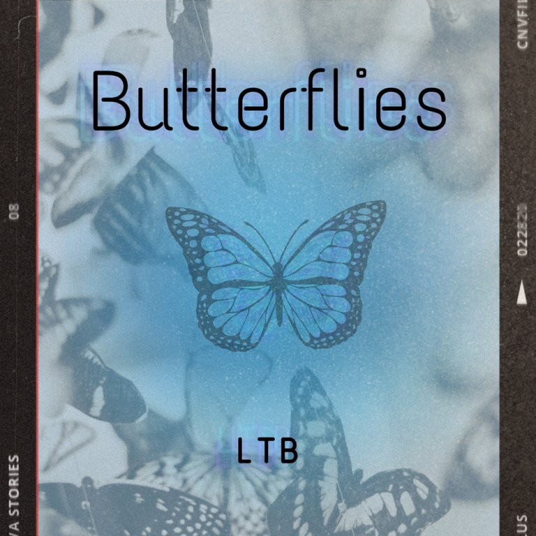 Butterflies by LTB