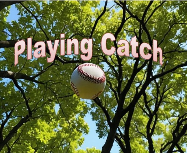 Playing Catch by Don Sechelski