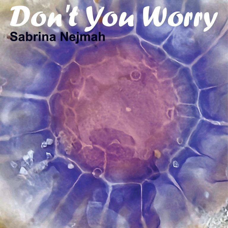 Don’t You Worry by Sabrina Nejmah