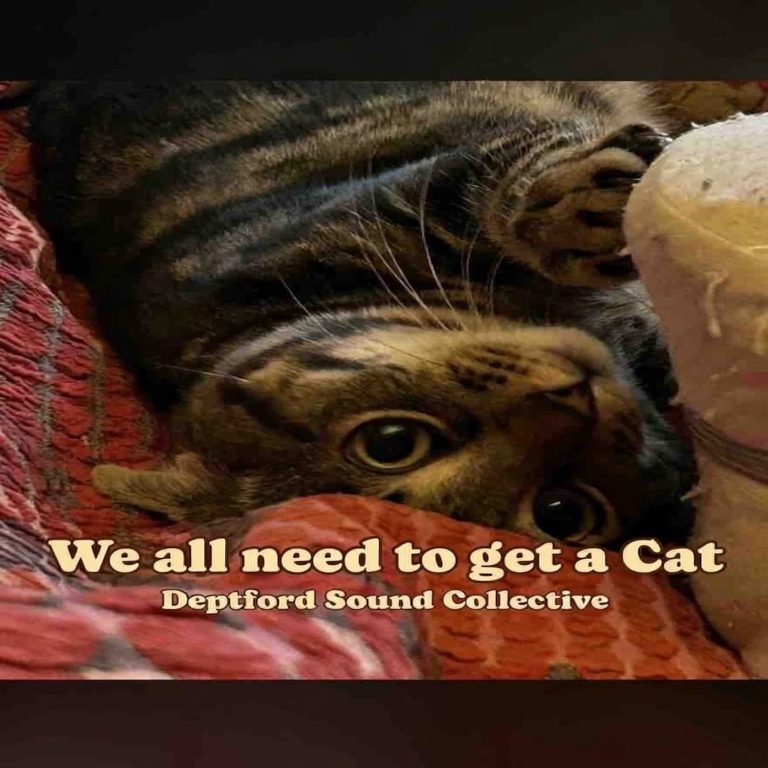 We All Need to Get a Cat by Deptford Sound Collective