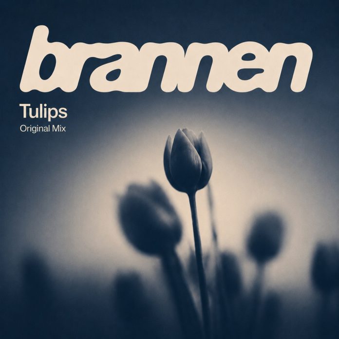 Brannen